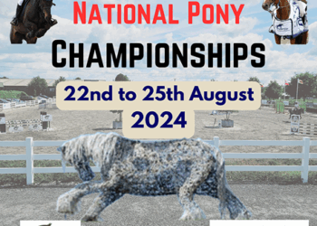 Ponies Arrive at Orchid Stables for the SJI National Pony Championships