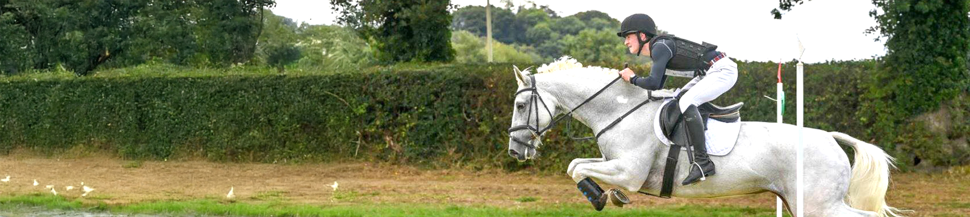 Successful Riders Coached by Ruth