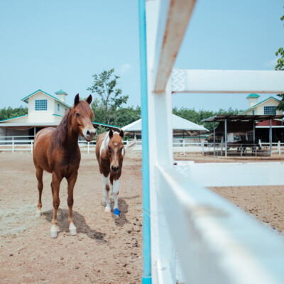 A Sunny Day of Progress and Performance at the AIRC Grassroots Series in Barnadown