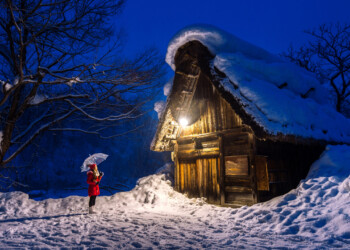 A Magical Family Christmas Stay at Orchid Mews – The Christmas Express at Mount Druid